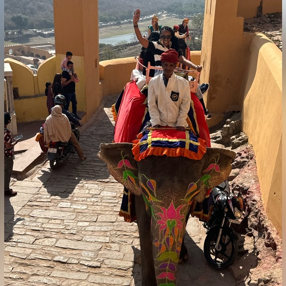 Meet your Posher, Ngaa - Picture 6 of 6